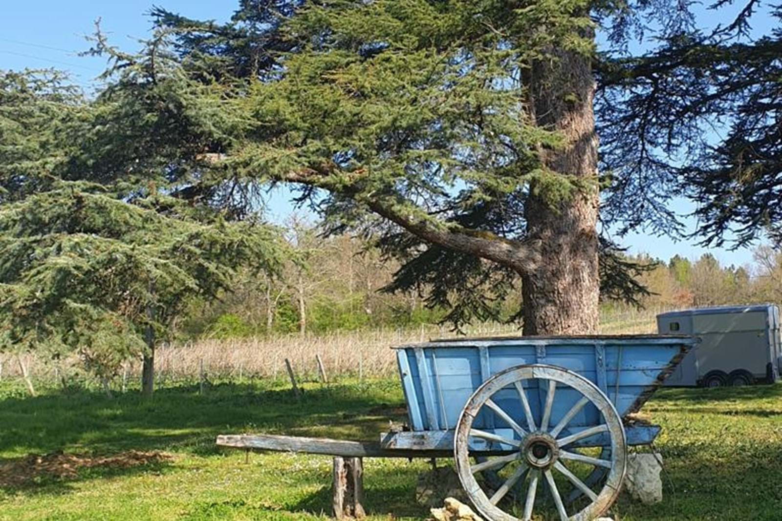 PHOTO 2019 03 31 21 26 20 5 (1)